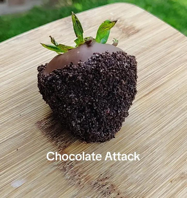 Gourmet Strawberries