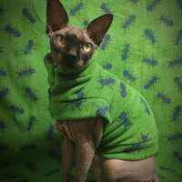 Ants - Luxe Fleece - Thumbnail 1