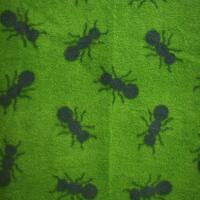 Ants - Luxe Fleece - Thumbnail 3