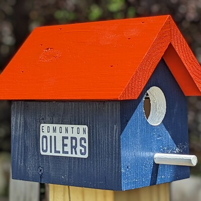 Oilers bird house
