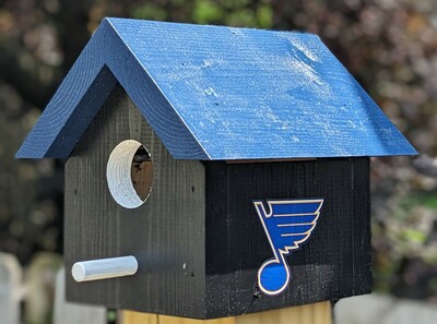 Blues Bird House
