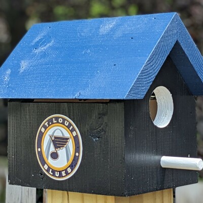 Blues bird house