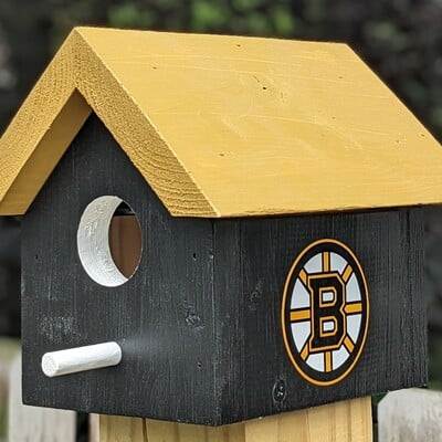 Bruins bird house