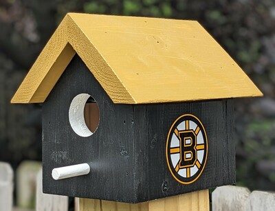 Bruins Bird House