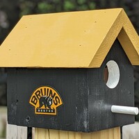 Bruins Bird House - Thumbnail 1
