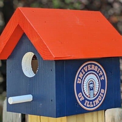 Chief illiniwek bird house