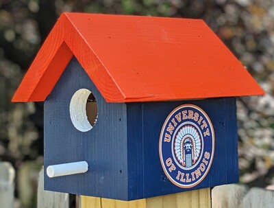Chief Illiniwek Bird House