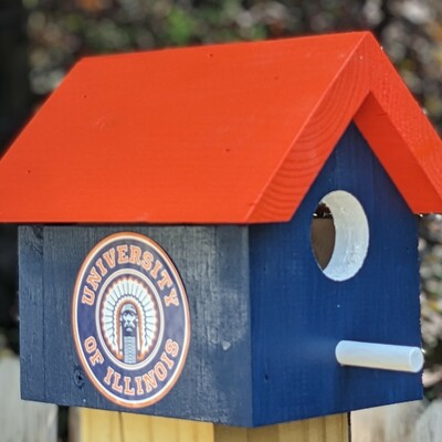 Chief illiniwek bird house