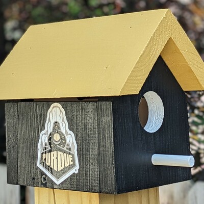 Purdue university bird house