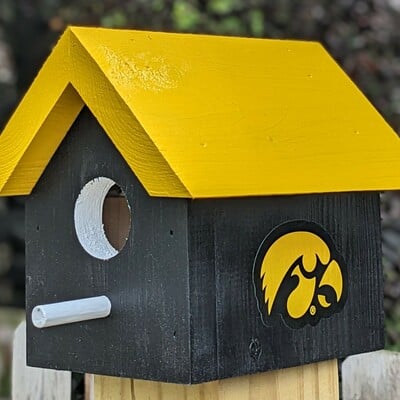 University of iowa bird house