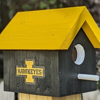 University of Iowa Bird House - Thumbnail 1