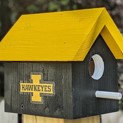 University of iowa bird house