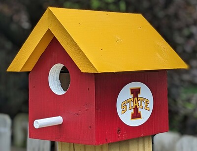 Iowa State University Bird House