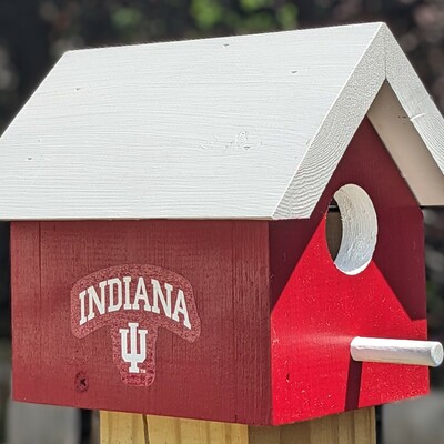 Indiana university bird house