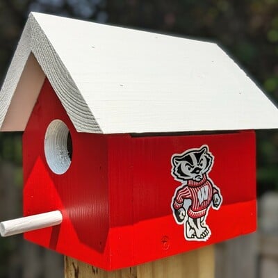University of wisconsin bird house