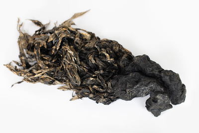 Original Clay Sculpture Artwork - Waves [#SS25SC005] 2025