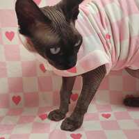 Picnic Blanket Yeezus - Thumbnail 2