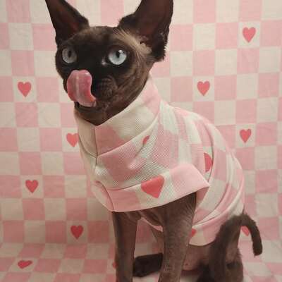 Picnic blanket yeezus