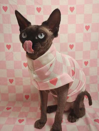 Picnic Blanket Yeezus