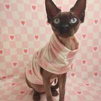 Picnic Blanket Yeezus - Thumbnail 1