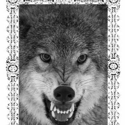 Sacred dominions "empire of heathen wolves" tape - Thumbnail 3