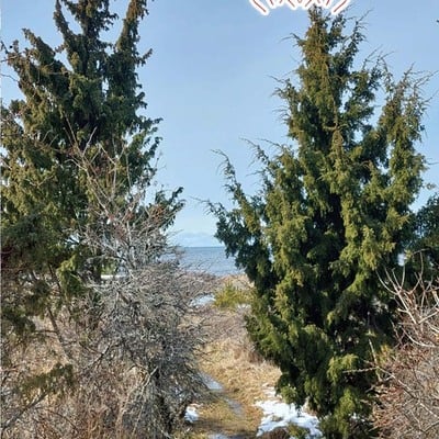 Lohikäärme "rangaistuksen kevät" tape - Thumbnail 2