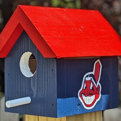 Chief wahoo bird house