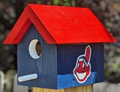 Chief Wahoo Bird House