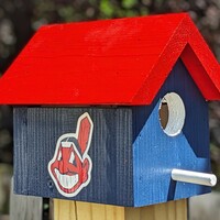 Chief Wahoo Bird House - Thumbnail 1