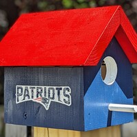 Patriots Retro Bird House - Thumbnail 1