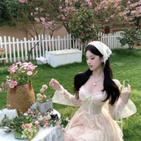Dreamy Elegance Women's Lace Dress - Thumbnail 3