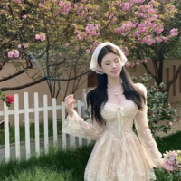 Dreamy Elegance Women's Lace Dress - Thumbnail 7
