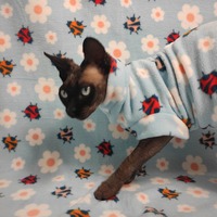 Ladybugs - Luxe Fleece - Thumbnail 1