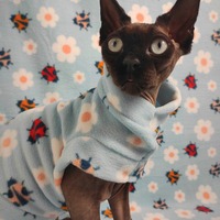 Ladybugs - Luxe Fleece - Thumbnail 4