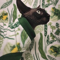 Frogger - Luxe Fleece - Thumbnail 2