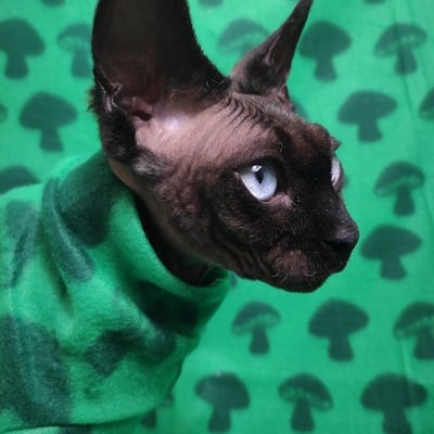 Shrooms - lightweight fleece