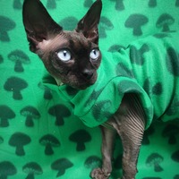 Shrooms - Lightweight Fleece - Thumbnail 1