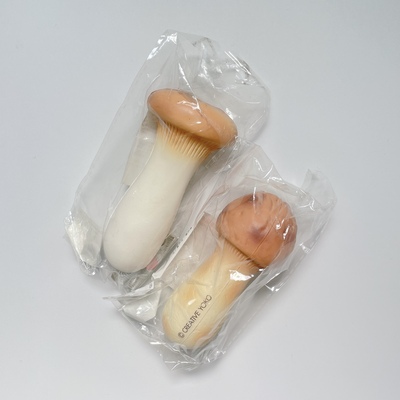 Mother Garden Mushroom Squishy