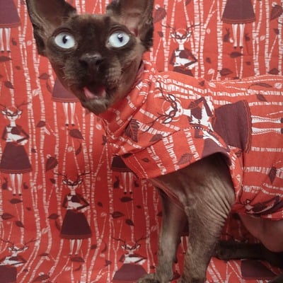 My spirit animal - sleepwear