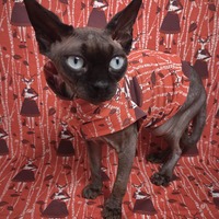 My Spirit Animal - Sleepwear - Thumbnail 1