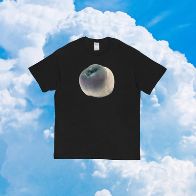 Fat pigeon sleeping t shirt black