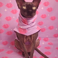 Make It Juicy - Thumbnail 1