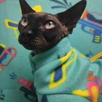 Pew Pew Pew - Luxe Fleece - Thumbnail 2