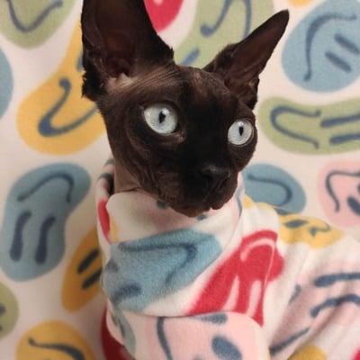 Fun house smiley - fleece