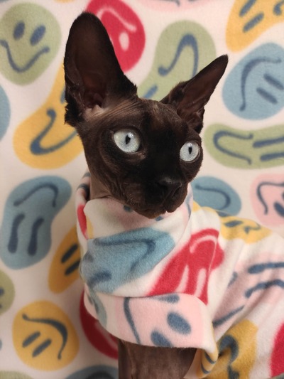 Fun House Smiley - Fleece