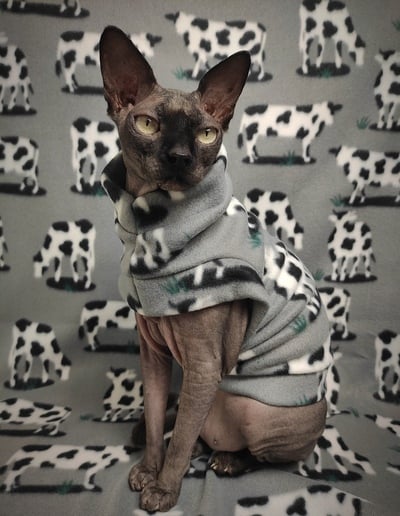 Cow Tipping - Fleece