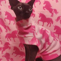 Be The Unicorn ( Pink) - Lightweight Fleece - Thumbnail 2