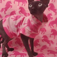 Be The Unicorn ( Pink) - Lightweight Fleece - Thumbnail 1