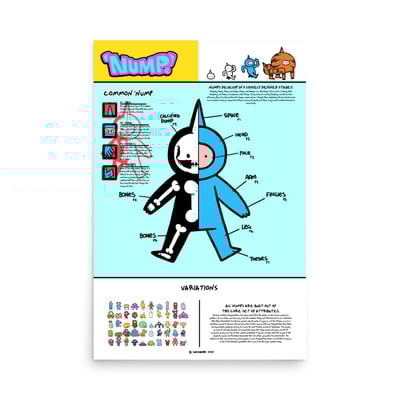 Nump anatomy poster