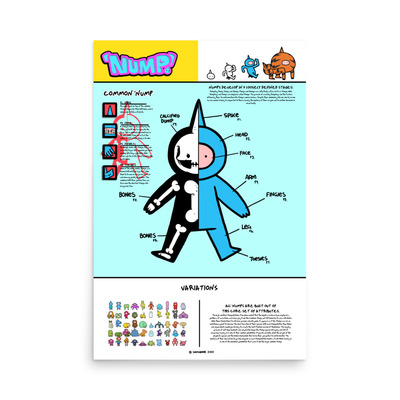 Nump Anatomy poster